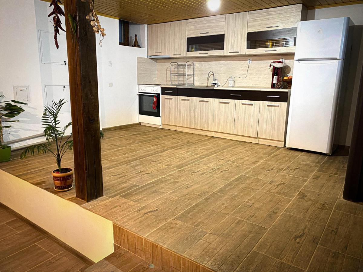 Старият Дюкянь Villa Елена Екстериор снимка